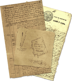 Erasmus Smith Land Grant